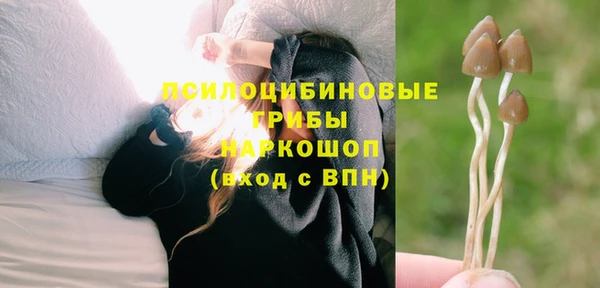 ГАЛЛЮЦИНОГЕННЫЕ ГРИБЫ Верхний Тагил