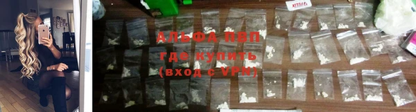 ГАЛЛЮЦИНОГЕННЫЕ ГРИБЫ Верхний Тагил