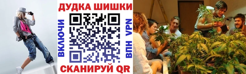 мега как войти Петровск Каннабис индика